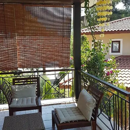 Grande Olive 1/2 Göcek